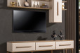 Anka TV Unit