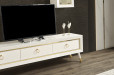 Armis TV Unit