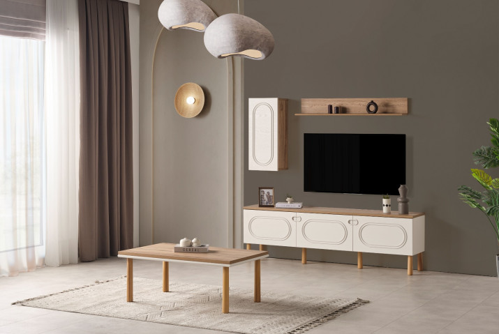 Derin Bohem TV Unit