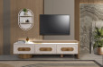 Lerisa TV Unit