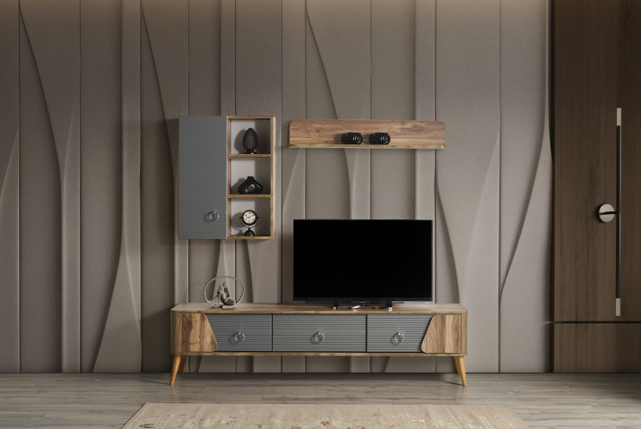 Tesla TV Unit