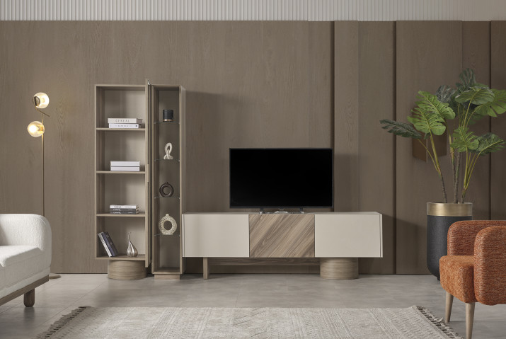 Zeron TV Unit